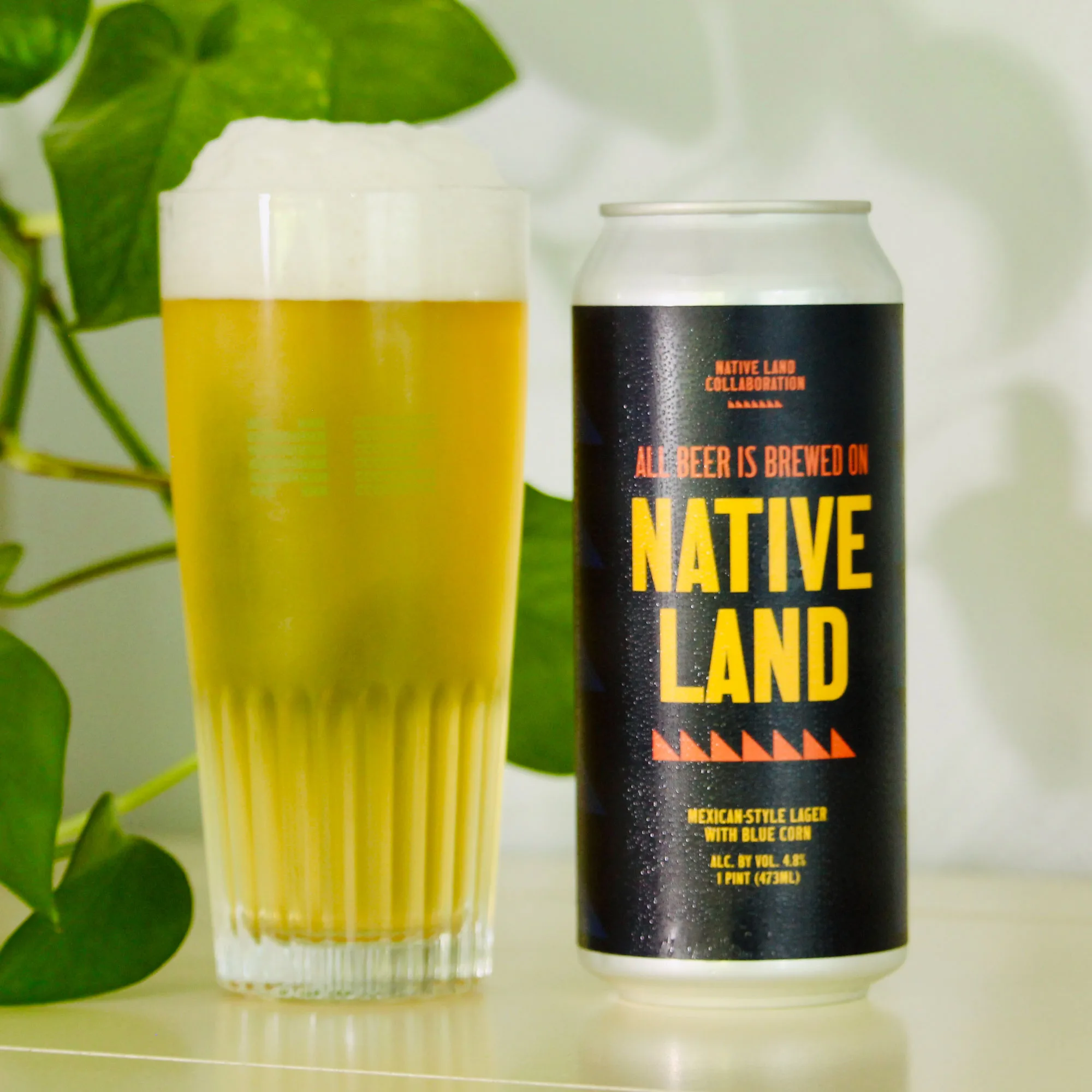 Native Land